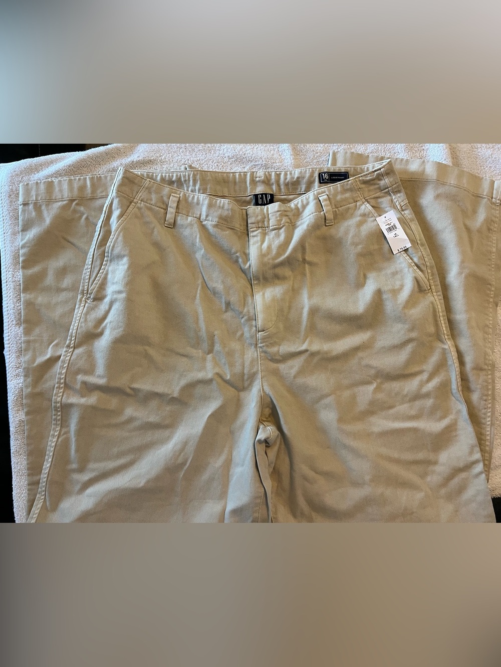 GAP Women's Tan Chino Pants
